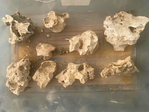 Live rock pieces assorted - live,