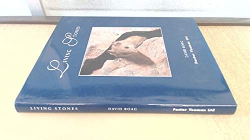 Living stones boad - living, david
