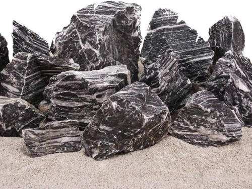 Zebra mountain rocks decor - zebra,