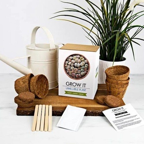 Unkillable plant grow kit fun - grow,